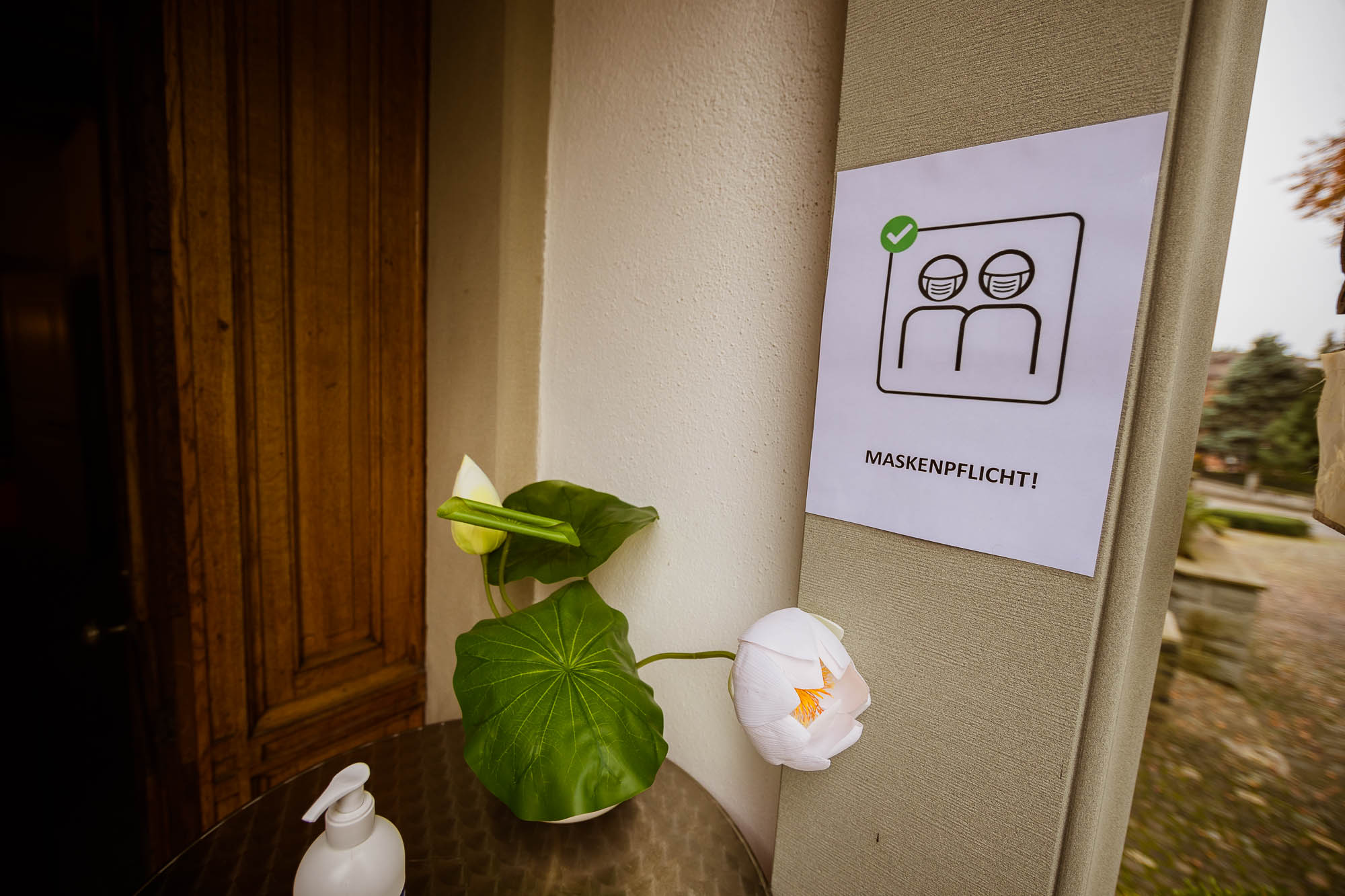 Export x3 1DX29697 Hochzeit 2020 Monika & Sharru